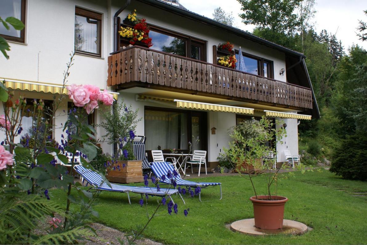 Black Forest Apartments Titisee מראה חיצוני תמונה