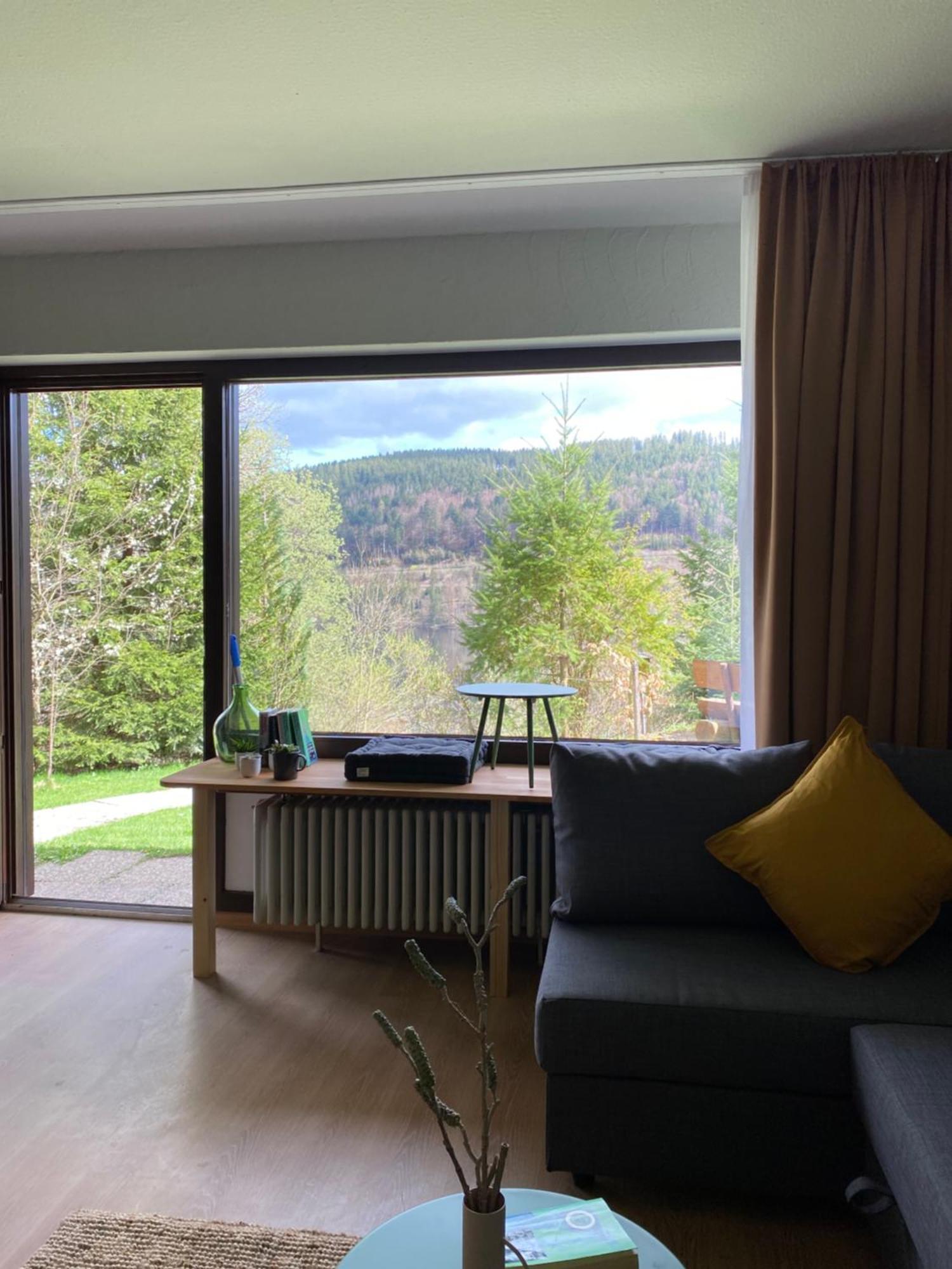Black Forest Apartments Titisee מראה חיצוני תמונה