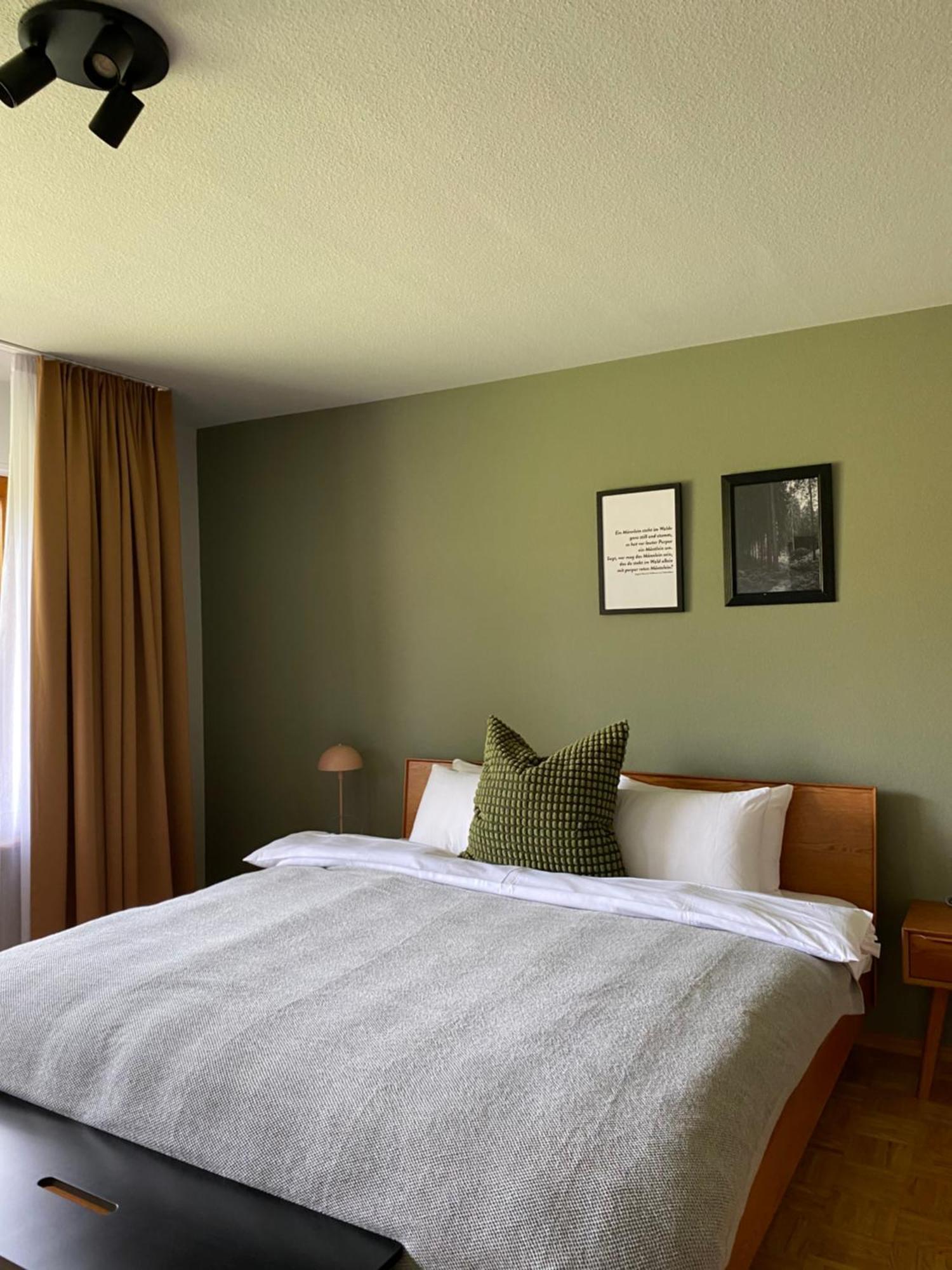 Black Forest Apartments Titisee מראה חיצוני תמונה