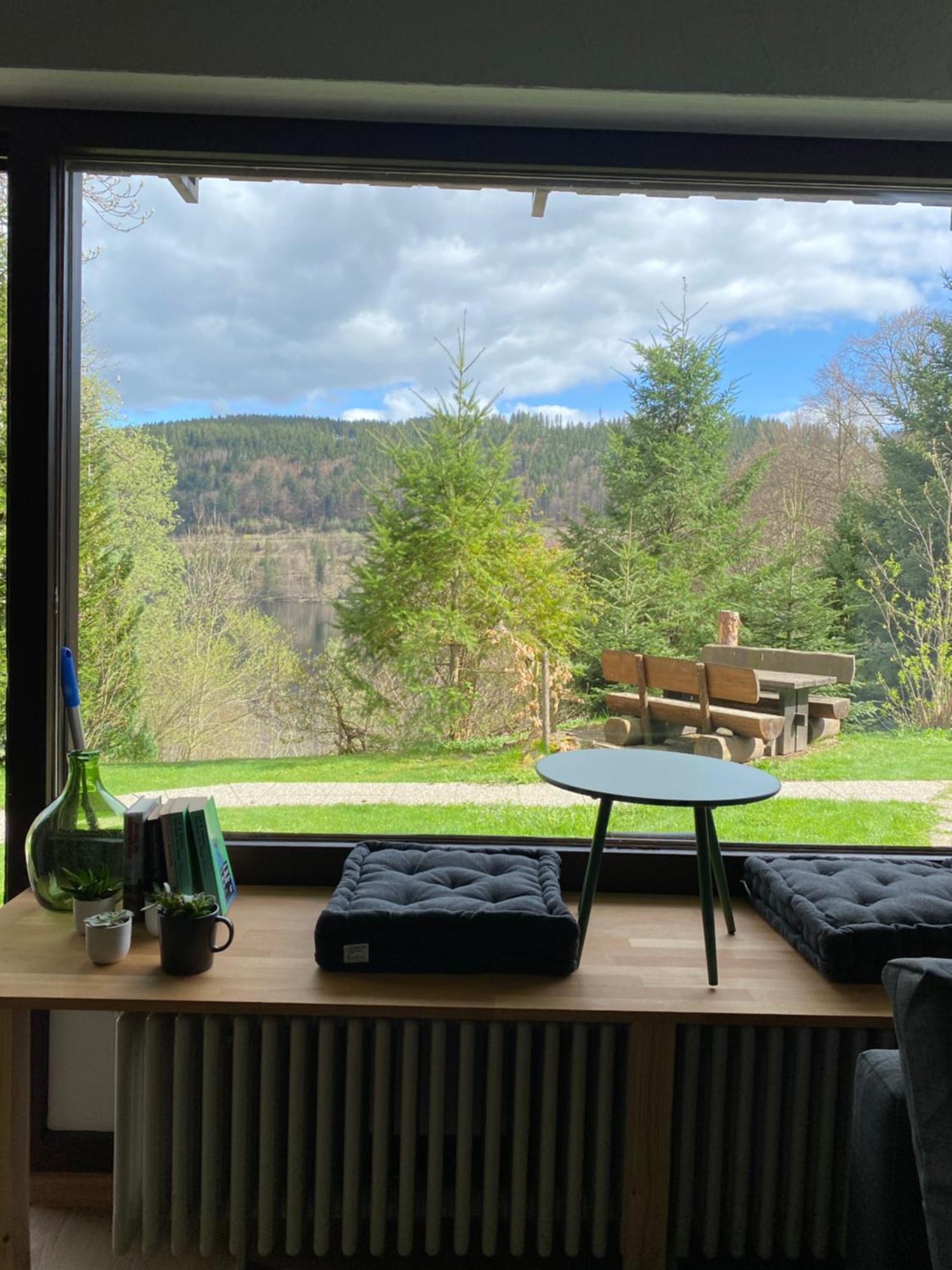 Black Forest Apartments Titisee מראה חיצוני תמונה