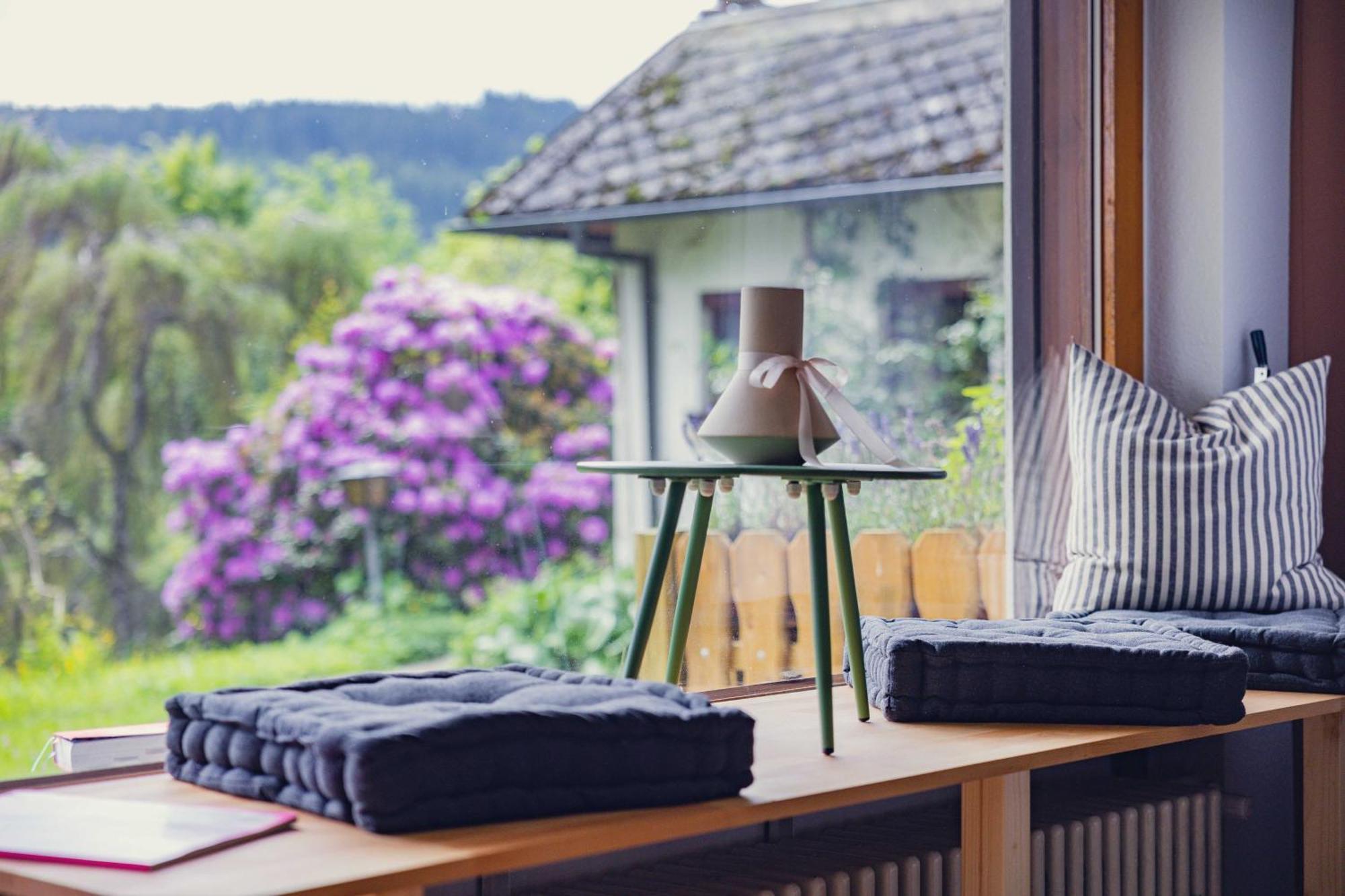 Black Forest Apartments Titisee מראה חיצוני תמונה