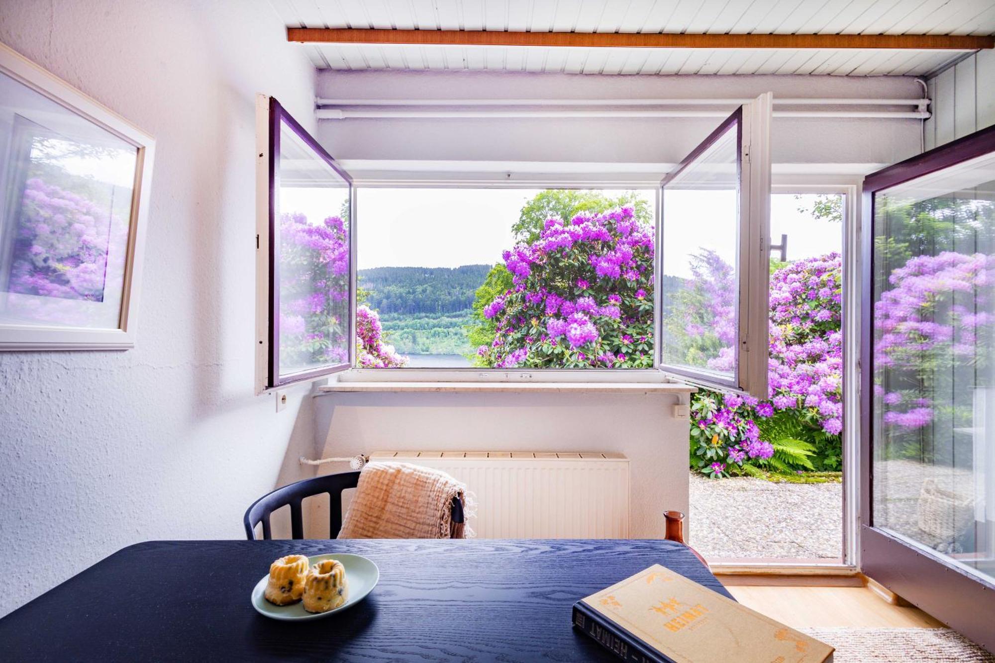 Black Forest Apartments Titisee מראה חיצוני תמונה
