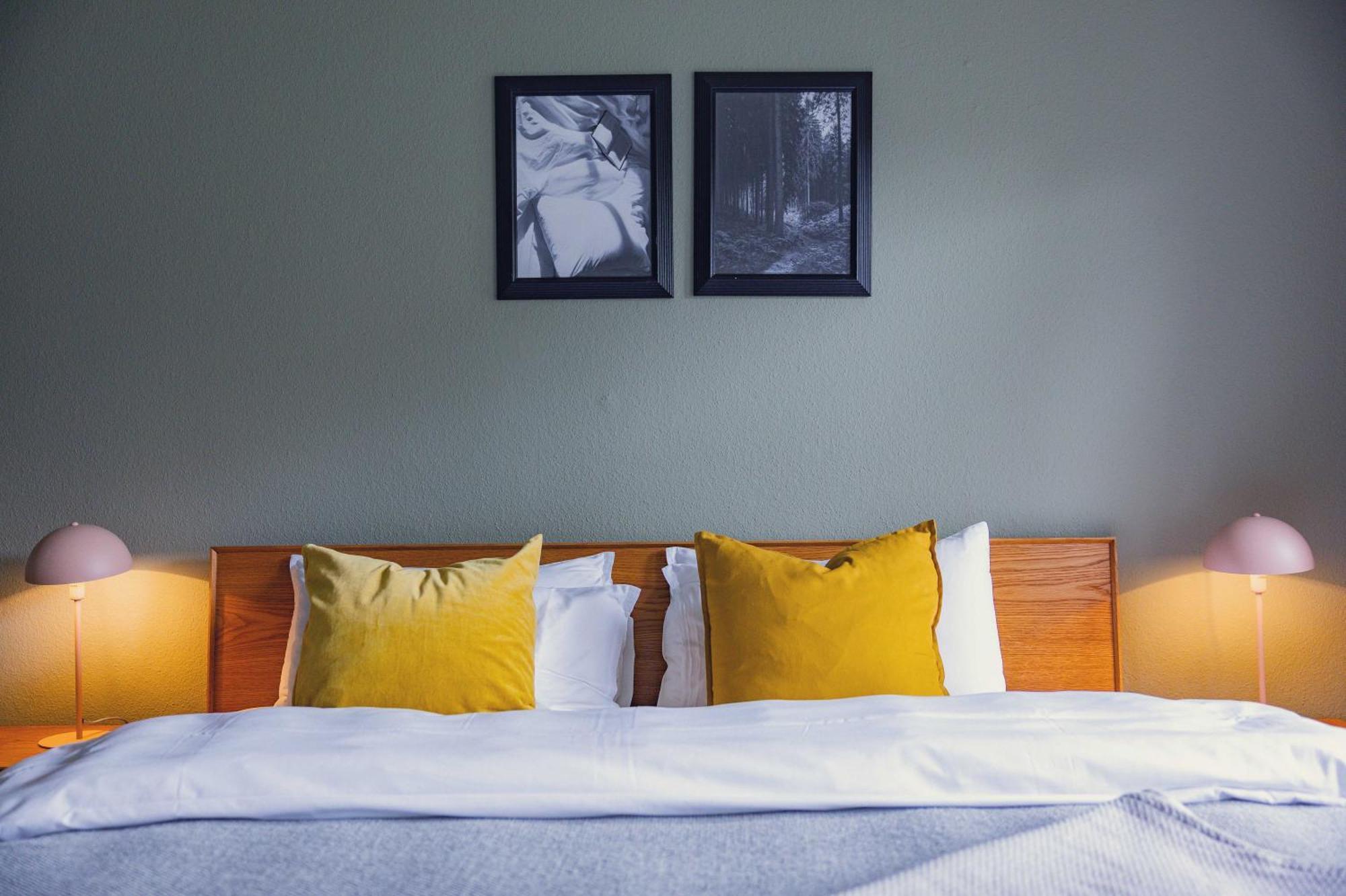 Black Forest Apartments Titisee מראה חיצוני תמונה