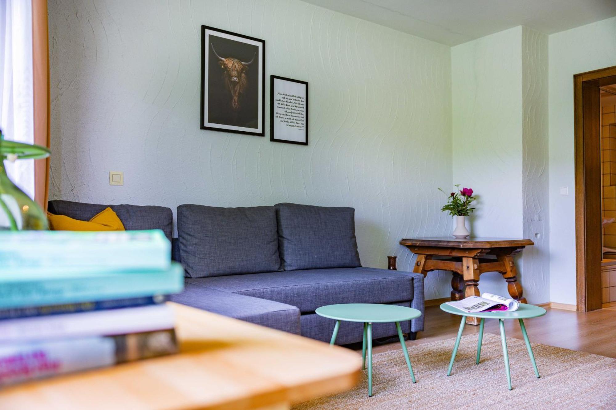 Black Forest Apartments Titisee מראה חיצוני תמונה